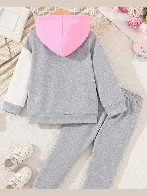 Children's gray hoodie and pants set with pink hood on a light background back view 